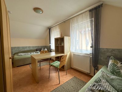 ferienwohnung1-sonneberg-gutnacht-9